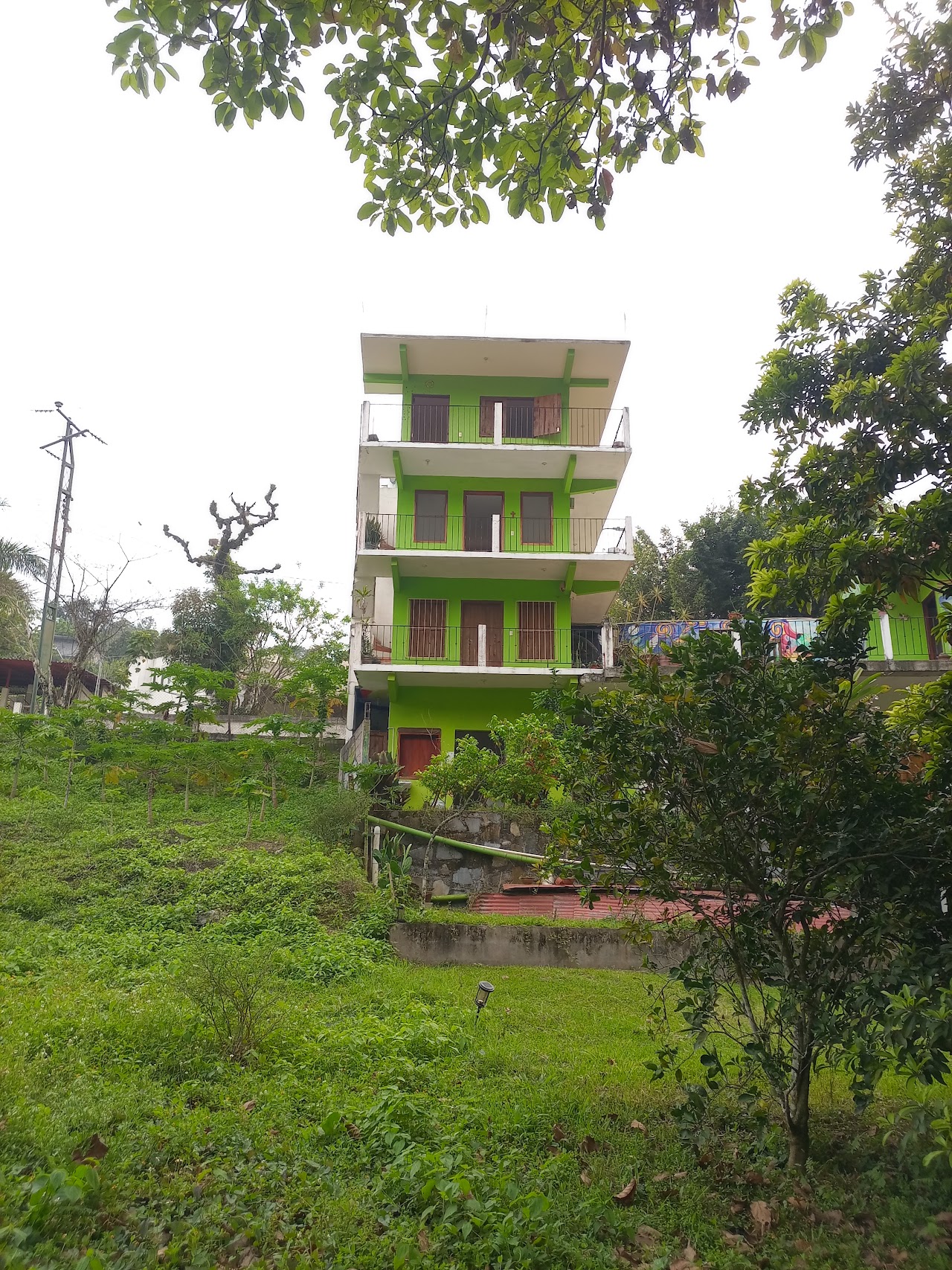 Casa Verde Xilitla