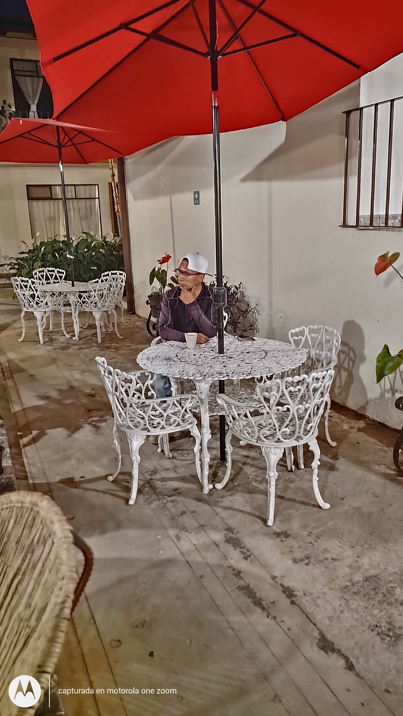 Hotel Villa De Flores