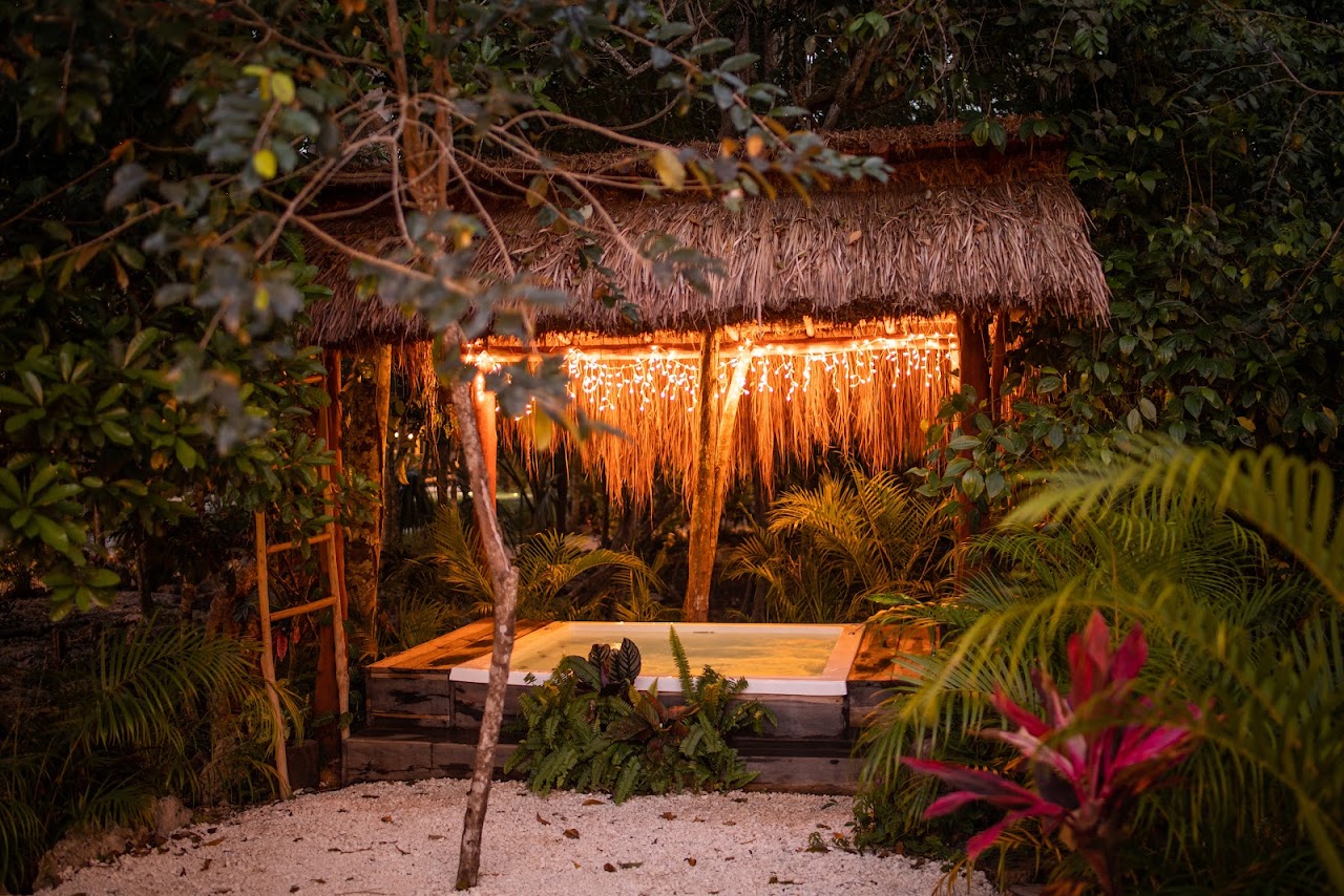 Nuuku