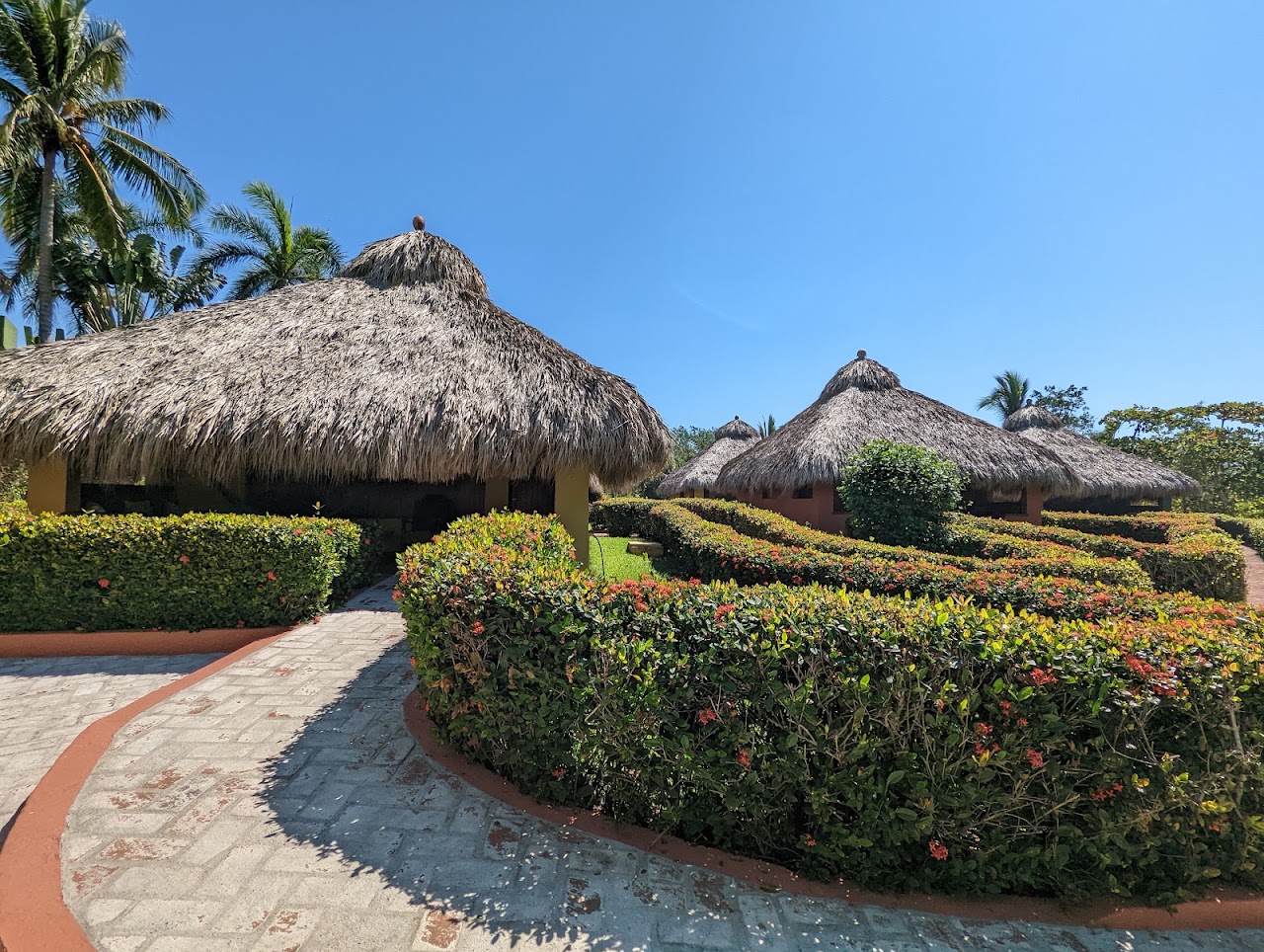 Majahua Palms
