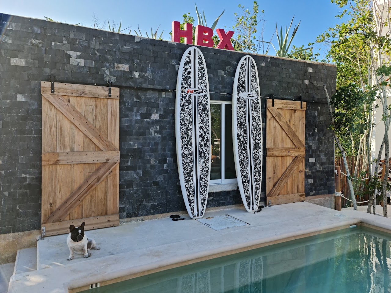 Sanyama Holbox