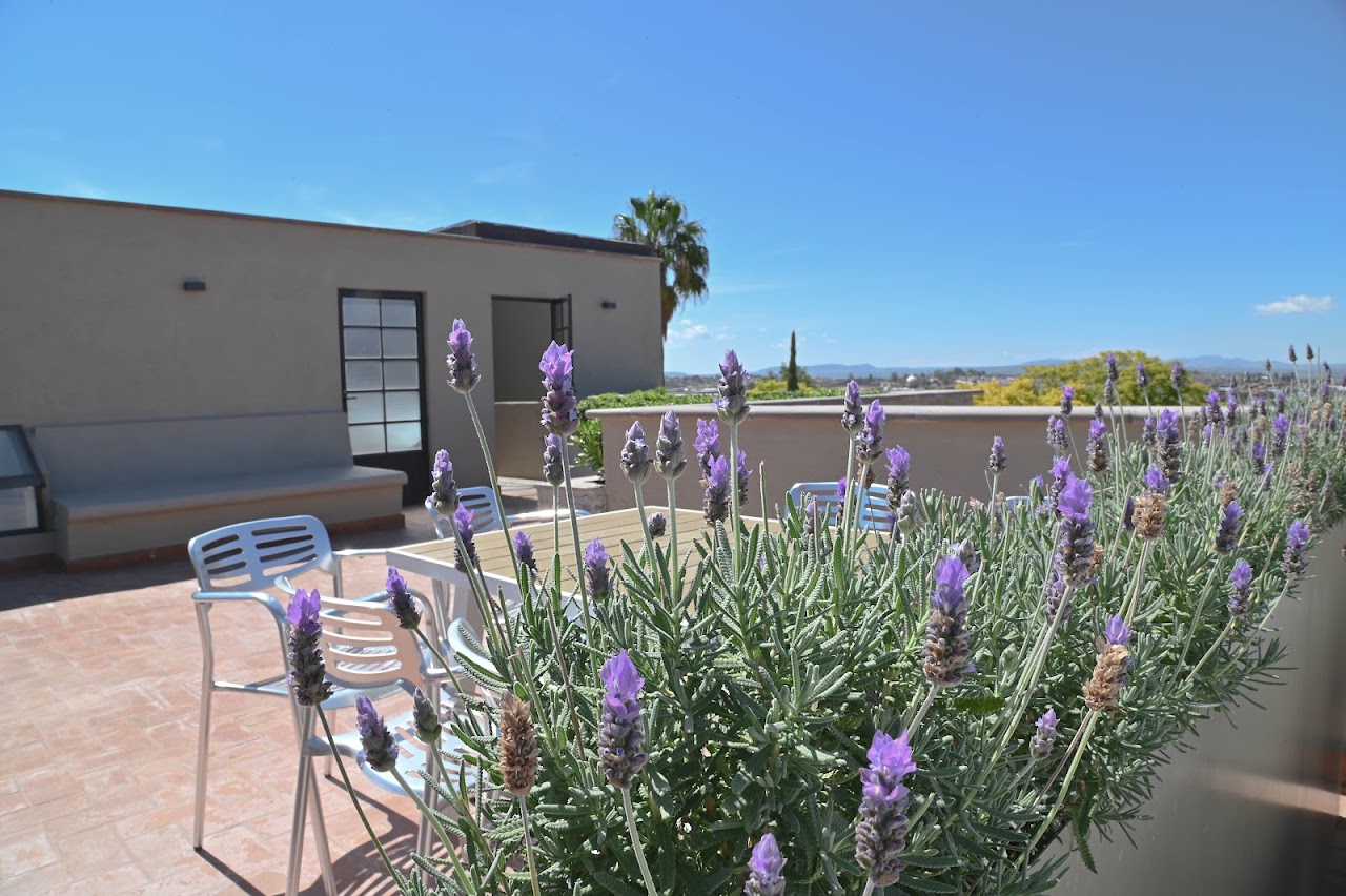 Canela Fina Loft Rentals