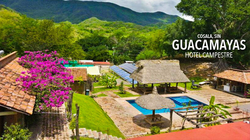 Guacamayas Campestre