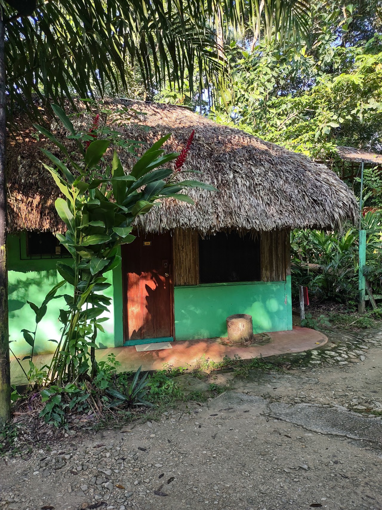 Margarita's Palenque