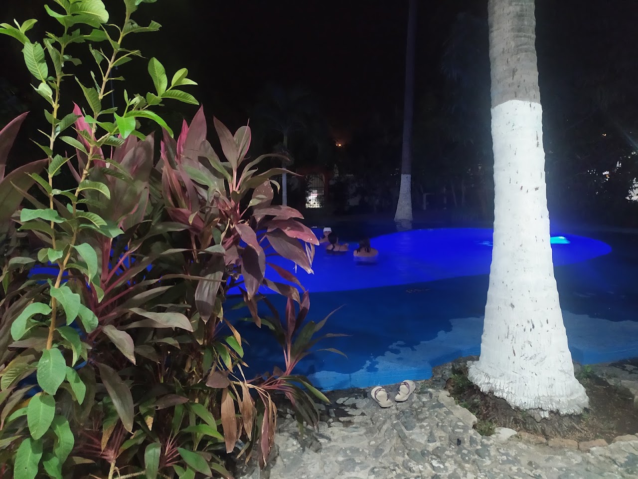 Hotel Oasis