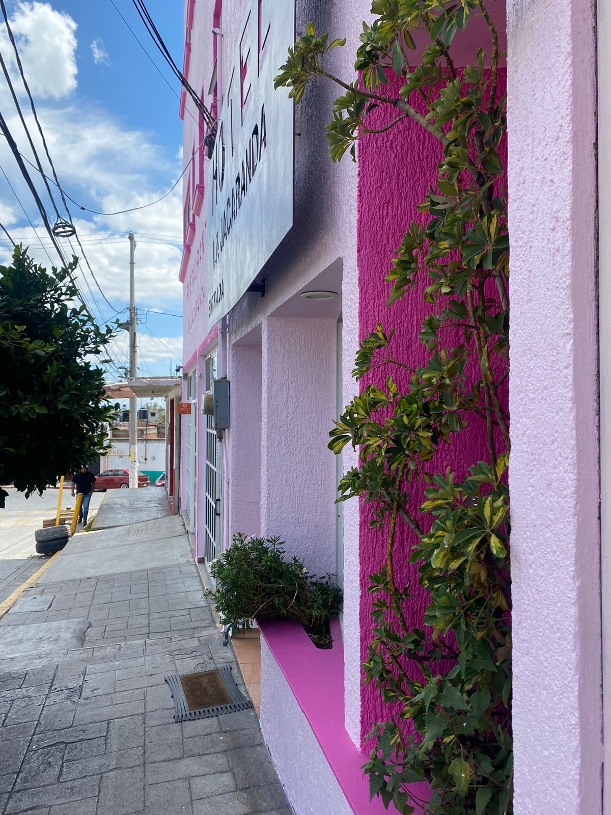 Hotel La Jacaranda