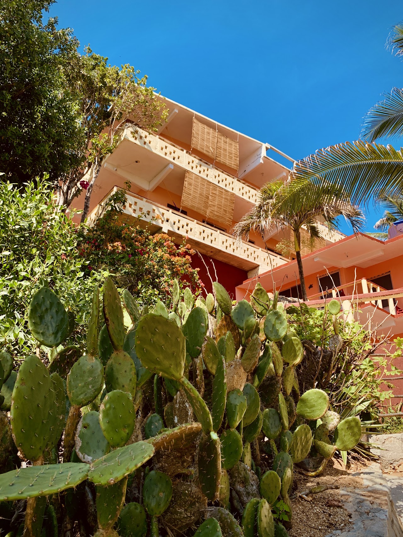 Hotel La Barca
