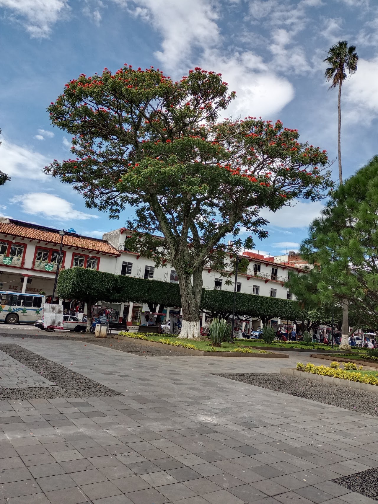 HOTEL Punto Verde