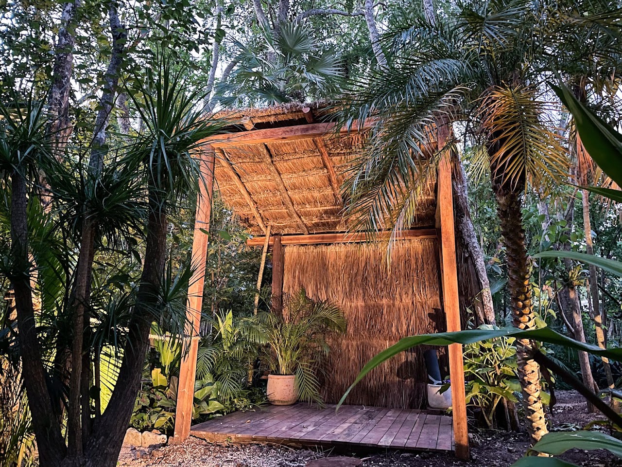 Selvatik Tulum