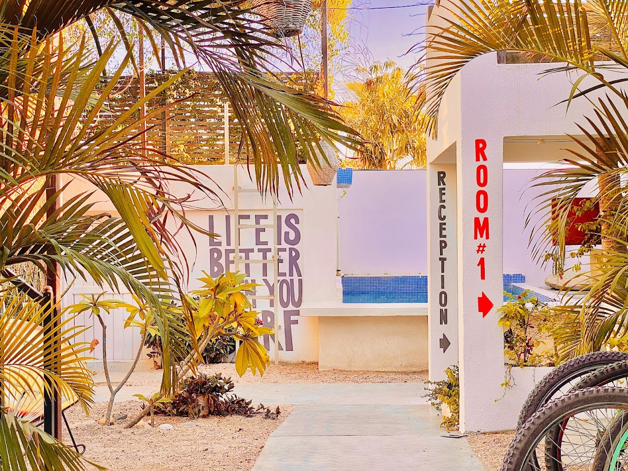 Perro Surfero Hotel Boutique