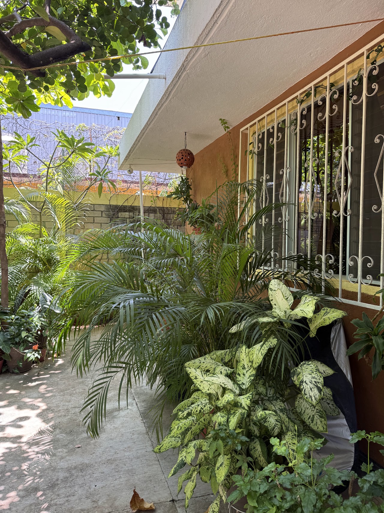 Casa Icaco