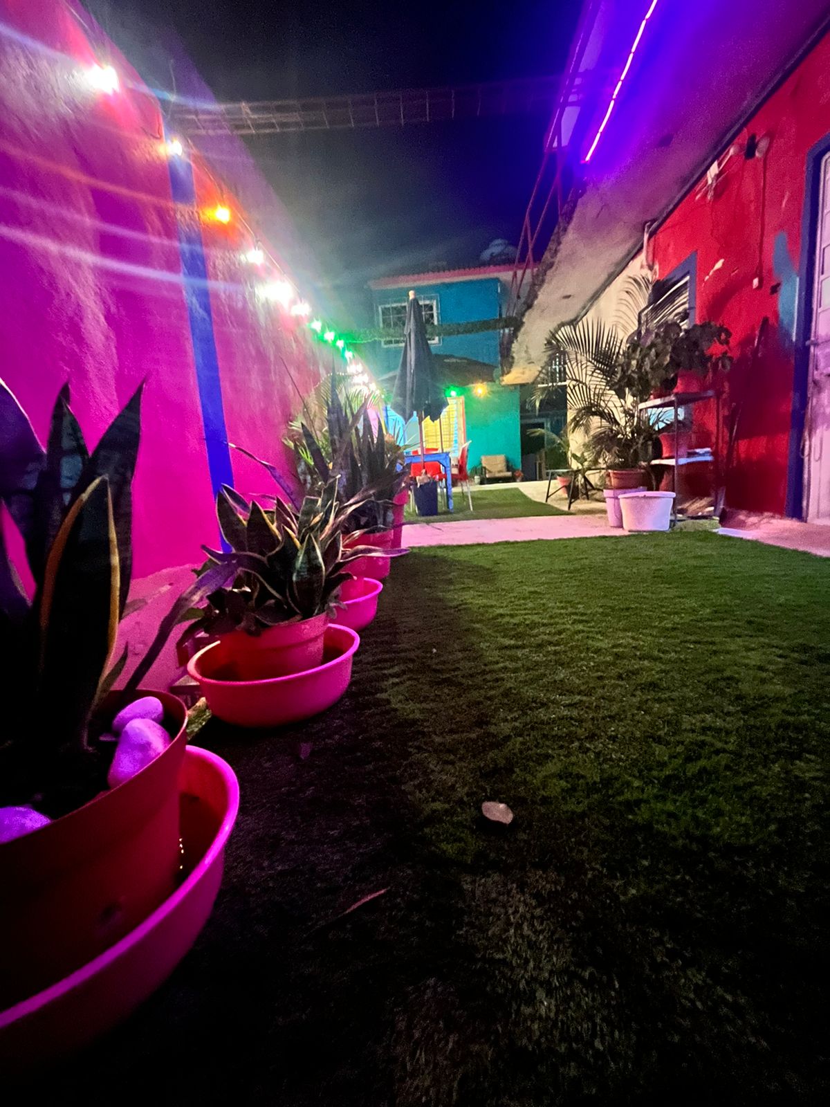 Hotel Tropical