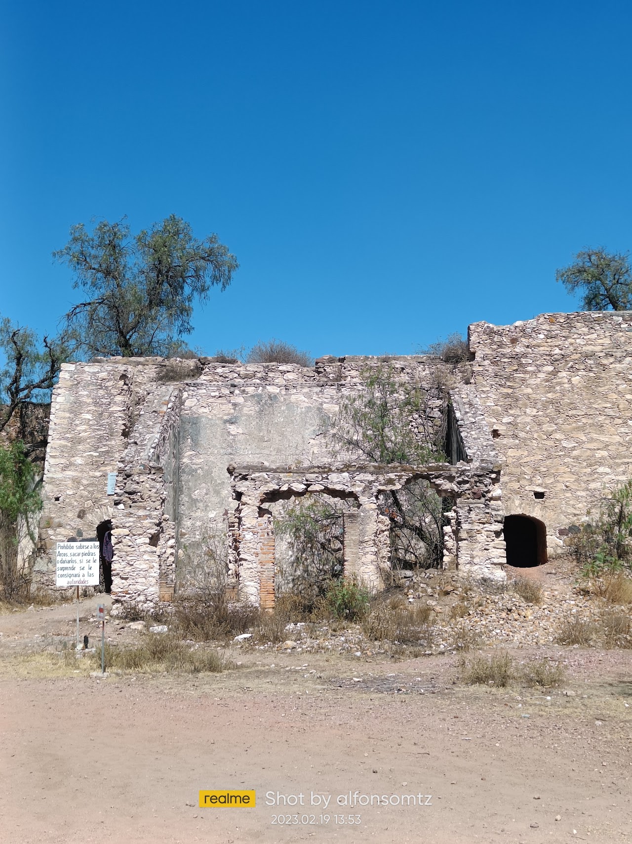 Hotel Fenix