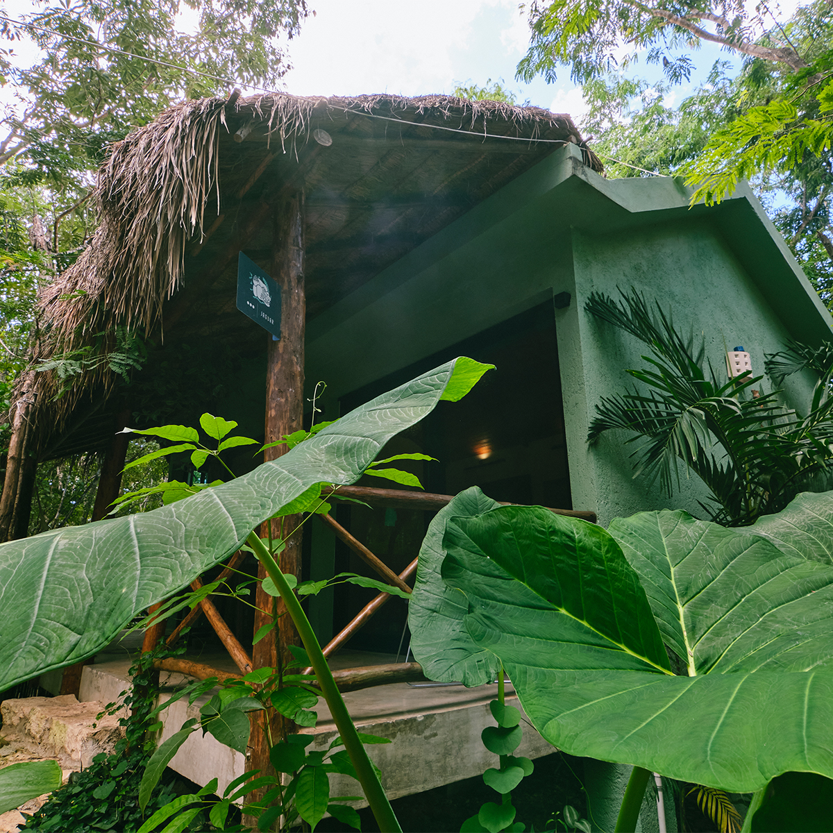 Villas Zamna Cozumel Accommodations