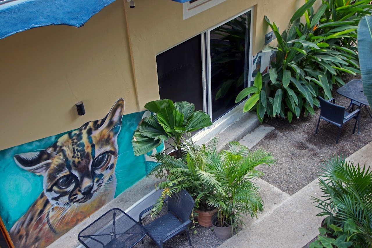 Patio Canarias • Garden Café, Elas's Gelato & Suites Pet-Friendly