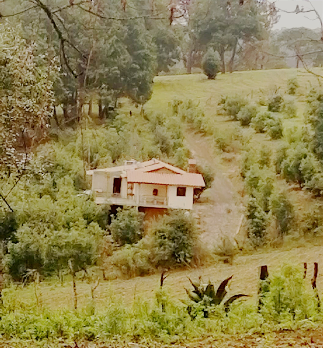 Cabañas sierra alta mazamitla. Un lugar de Altura