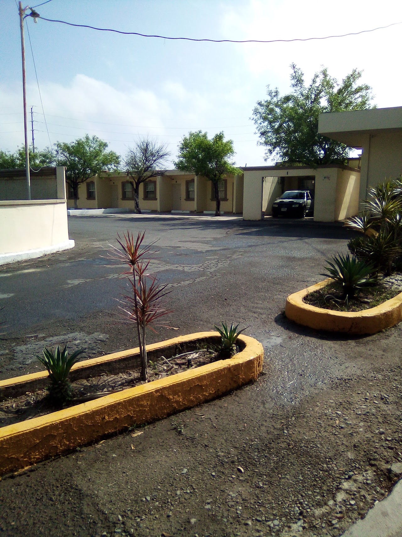 Motel Flamingos