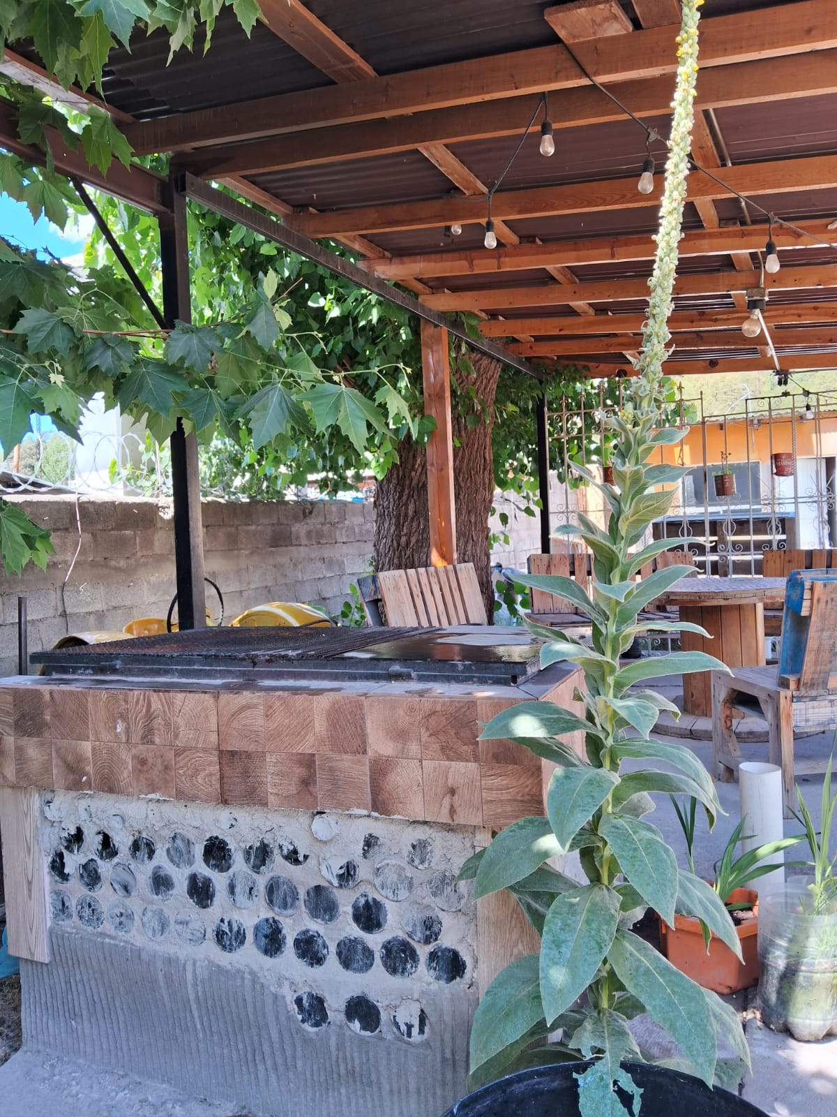 La Cueva Hostel