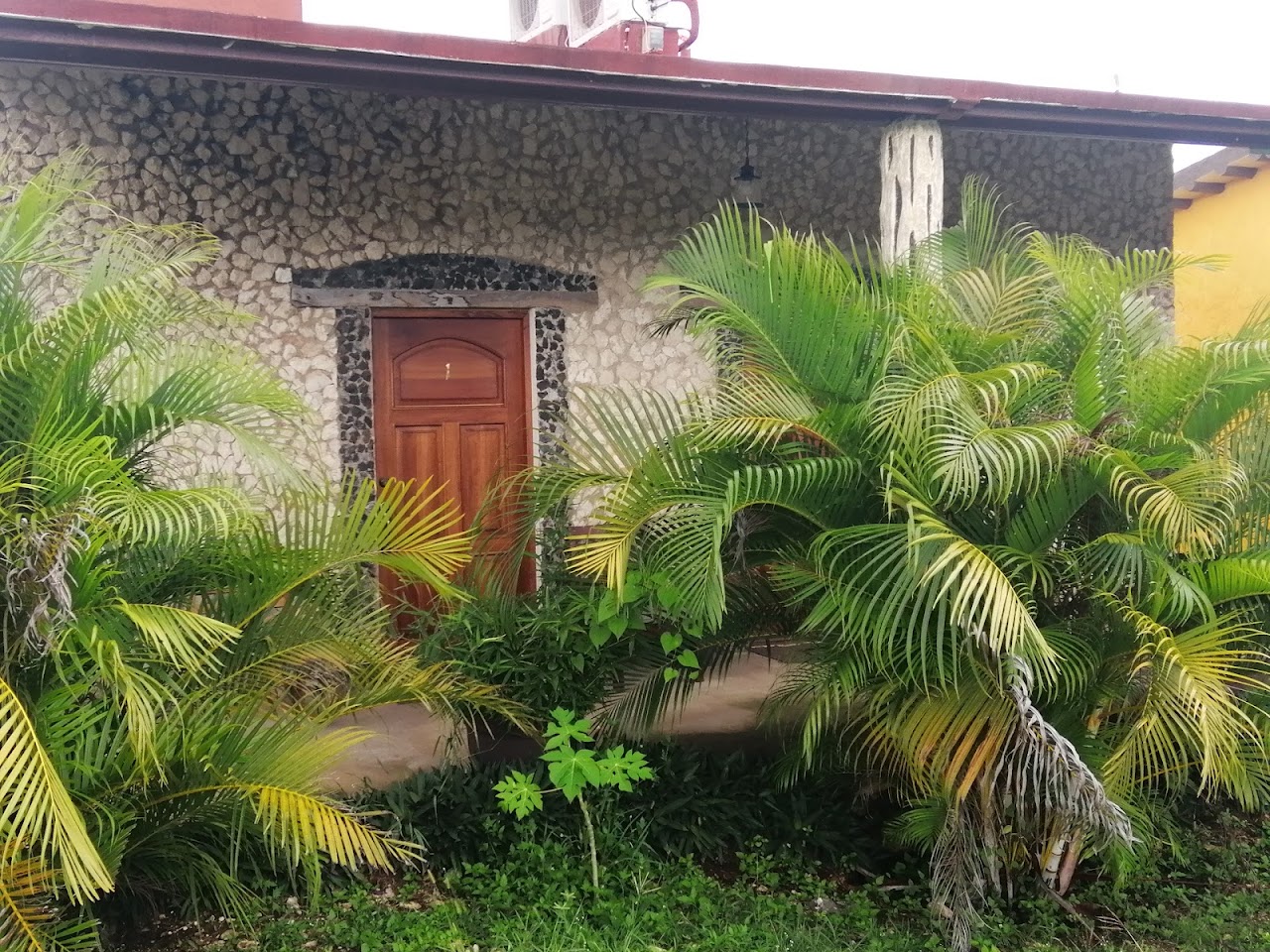 Natural Reserve-Yucatan Silvestre