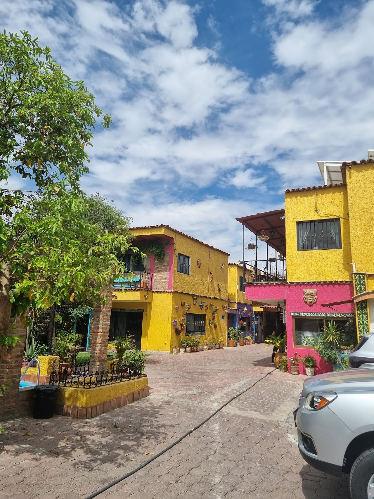 Hotel Posada Las Margaritas