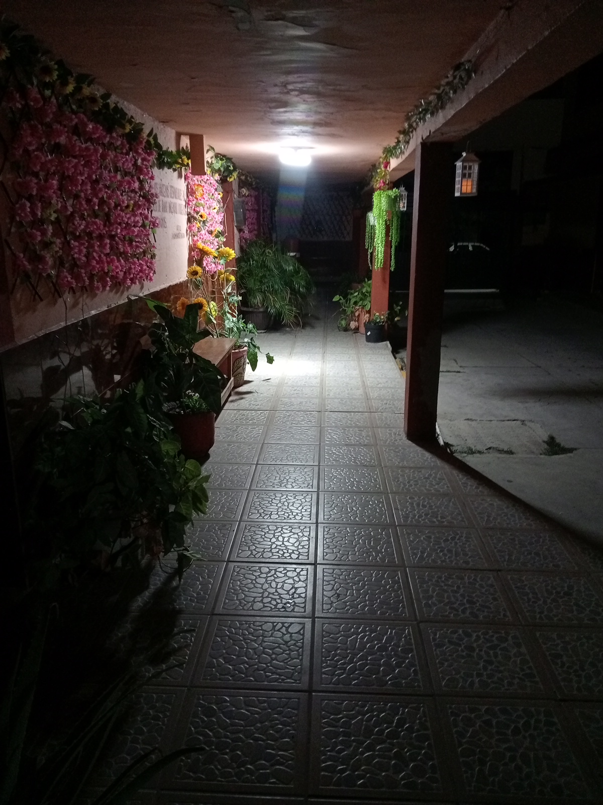 Hotel Buena Vista