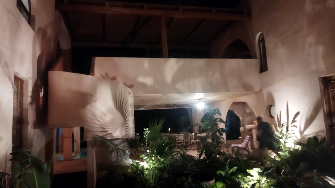 Casa liquen