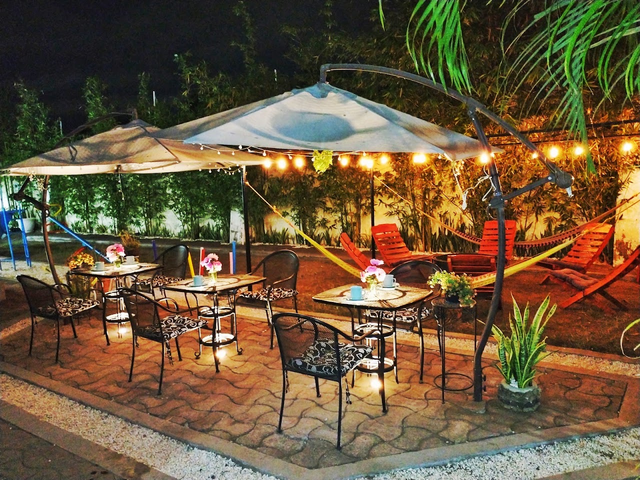 Finca Bambino Veracruz