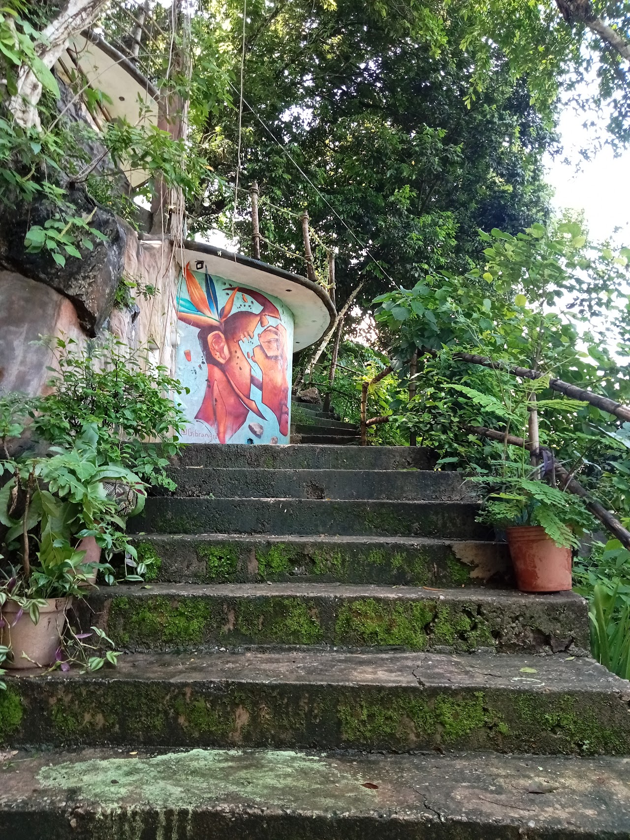 Casa Musgo.