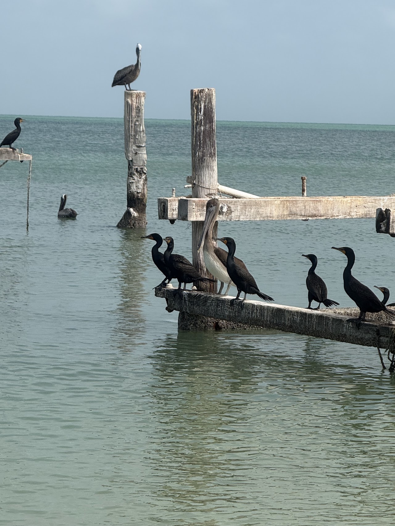 Playa Maya Villas