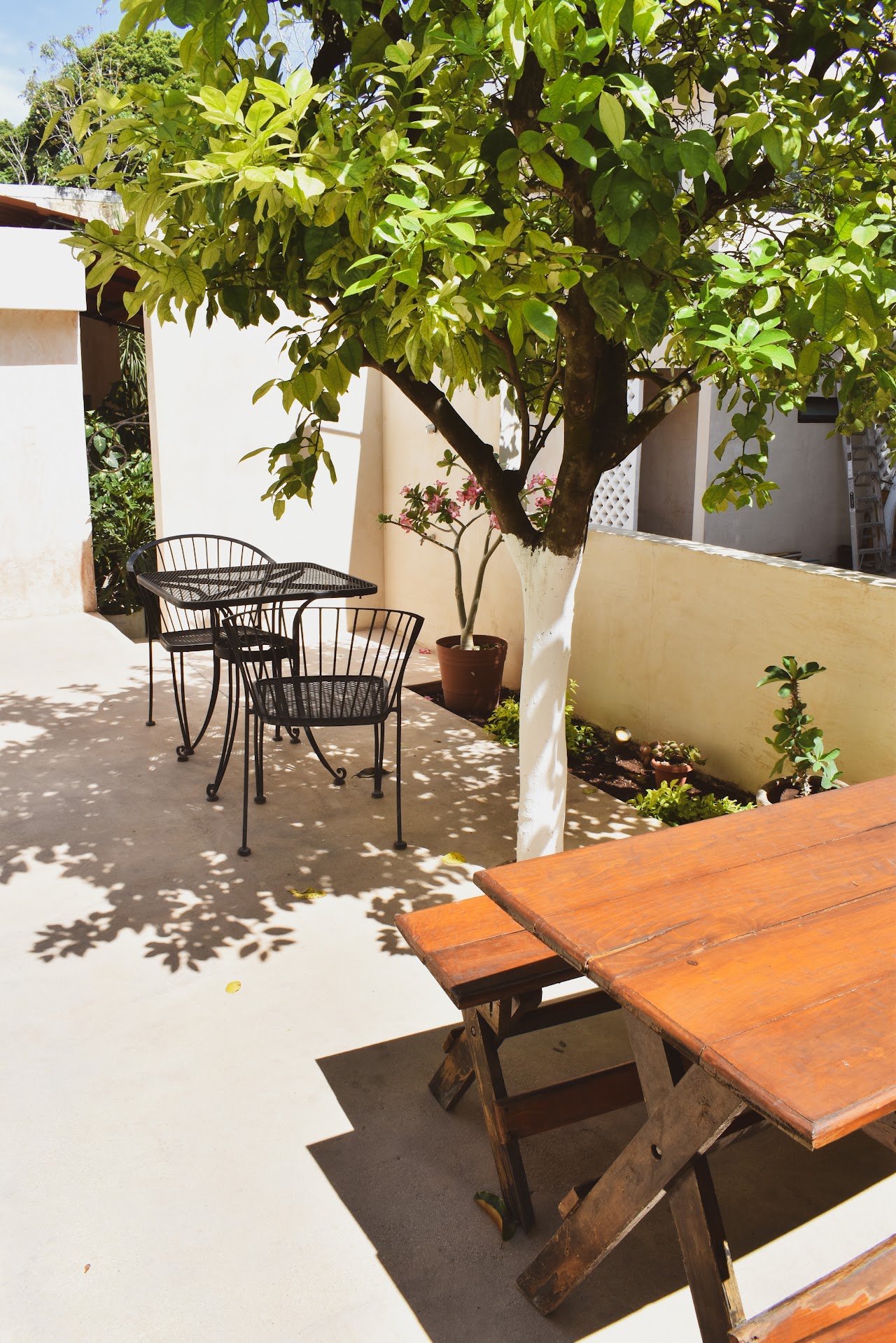Hotel Boutique Bugambilias