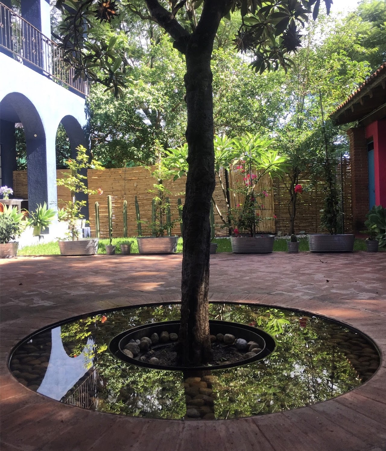 La Betulia Bed and Breakfast