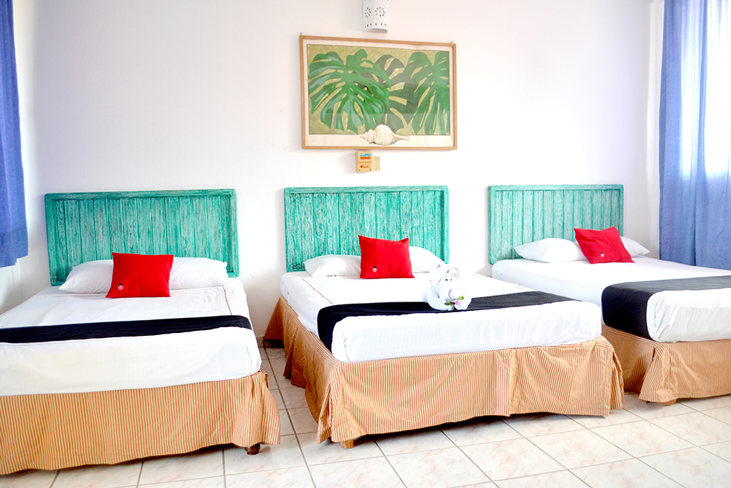 Hotel Adelita