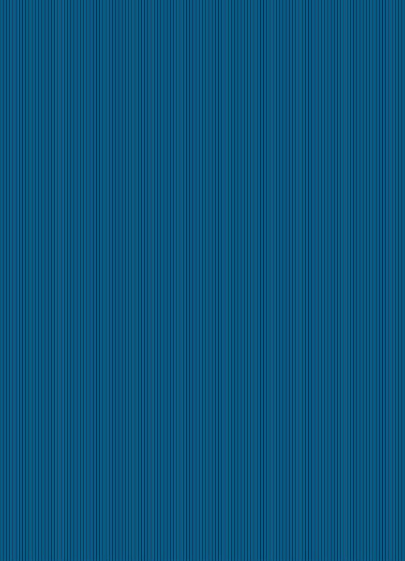 Casita Azul